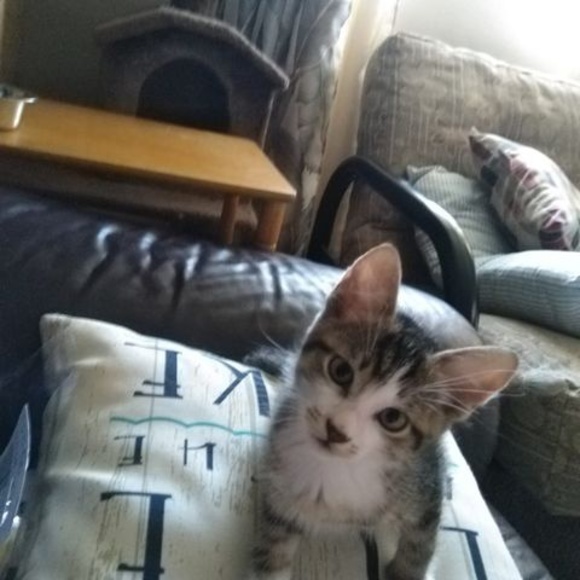 Meet your Posher, Karen - Picture 1 of 1